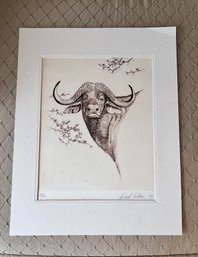 (Z-9) ORIGINAL HAND SIGNED INTAGLIO ENGRAVING BY MICHAEL COLLINS 'CAPE BUFFALO'- WILDLIFE ARTIST, LIMITED ED.