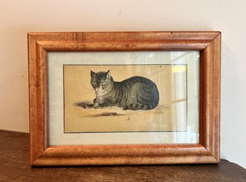 (K) ADORABLE ANTIQUE FRAMED CHROMOLITHOGRAPH OF RECLINING CAT WITH CROSSED PAWS - 11' X 8'