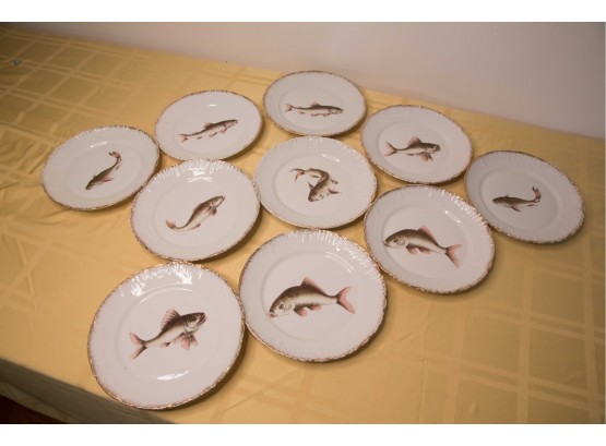 D-13- LOT OF 10 ANTIQUE FISH PLATES- VICTORIA CARLSBAD AUSTRIA - 8' EACH