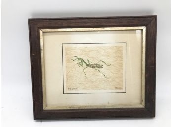 (147) ORIGINAL ART-PRAYING MANTIS BY (LOOKS LIKE) P. FRENCH-FRAMED AND UNDER GLASS-APPROX. 11 1/2' X 9 1/2'