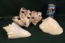 Large Shells, Starfish And Glass Fish  (20)