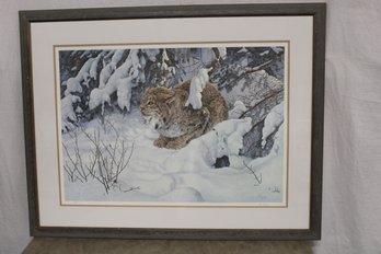 Framed & Double Matted  Print Of  A Lynx By Audrey Casey, 1990, 23/550, 37x28'  (142)