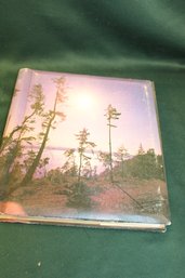 Antique Postcard Album, 20 Pages, Over 60 Postcards  (19)