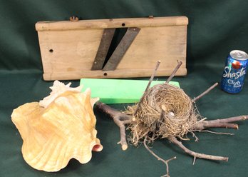 Assorted Mixed Lot - Slicer, Wedge, Bird Nest And Conch Shell  (209)