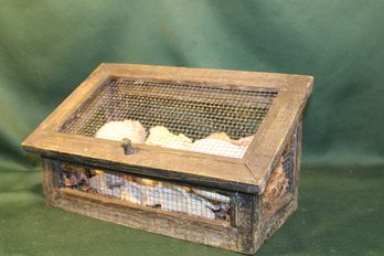 Wood & Wire Hinged Box Containing Sea Shells  (222)
