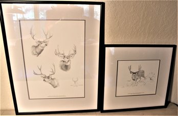 2 Framed & Matted Drawings Of Mule Deer, Limited Editions, 83/250, 83/250, 1990 & 1993, By Don Hummel  (346)
