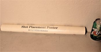 Mule Deer Shot Placement Poster, Unopened (351)