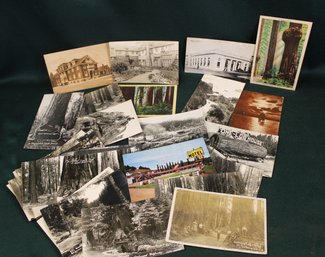 30 Postcards Mostly Of Redwoods - One 1910, 1938,1942 Canceled   (411)