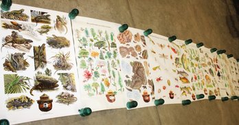 12 US Forest Service  Vintage Posters, 20x30'    (44)