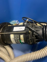 Wayne Sump Pump