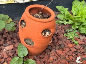 Garden Strawberry Planter