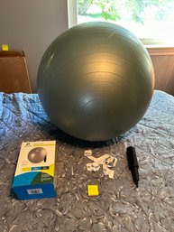 Exercise Ball Lot