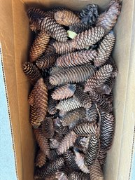 Box Of Pinecones