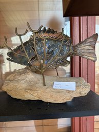 Decorative Fish Display