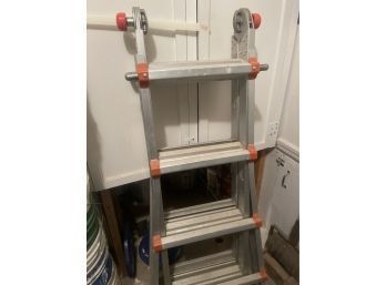 Wing The Little Giant Ladder Model 10102 - 300 Pound Working Load