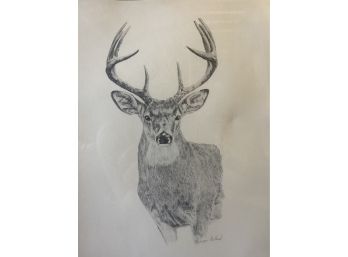 Sketch Of Buck Signed B. Billard