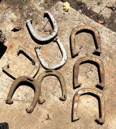 Eight Horseshoes