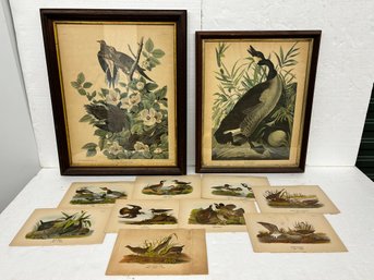 Two Framed Bird Prints And Grouping Of Bird And Duck Book Prints