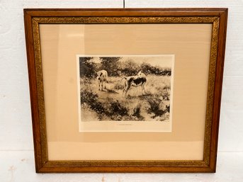 Framed Print Of 2 Cows - A Summer Morning - 19x23