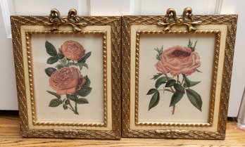 Vintage  Rose Prints Framed And Matted