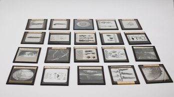 Collection Of Vintage Educational Glass Slides From New York Biological Laboratory - 20 Total