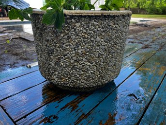 Brutalist Concrete Planters 1960s