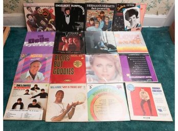 Lot Of 16 Assorted Vinyl Records