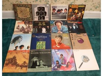 Lot Of 16 Assorted Vinyl Records