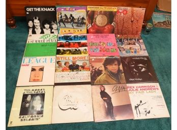 Lot Of 16 Assorted Vinyl Records