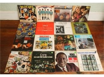 Lot Of 16 Assorted Vinyl Records