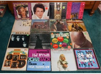 Lot Of 16 Assorted Vinyl Records