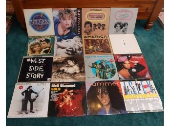 Lot Of 16 Assorted Vinyl Records