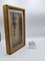 Lot 333 Framed Shell Collection - Coastal Elegance Captured In 9 Beautiful Specimens