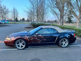 1999 Ford Mustang Cobra Svt Convertible