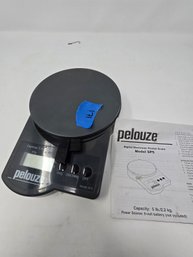 Pelouze SP5 Digital Postal Scale