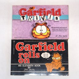2 Garfield Comic Books By Jim Davis