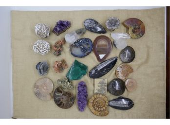 Large Collection Of Polished Stones And Fossils Mounted On Magnets