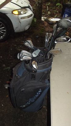 Hogan Edge Forged Irons Ping G30 Driver Taylor Made 4 Wood New Top Of Line Grips Large Cart Bag 2 Putters