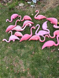Large Lot Of Pink Lawn Flamingos