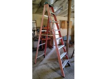 10' Werner Ladder