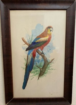 Framed Mexican Feather Art On Watercolor (Artist Unknown)-17x25.5