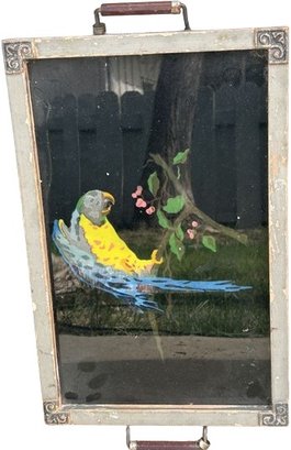 Vintage Exotic Bird Art  On A Glass Serene Platter 17 X 11
