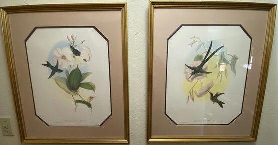 Pair Of Floral And Humming Bird Prints-23.5x28