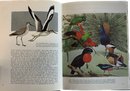 Birds Of Australia Pizzey And Doyle, Bird Portraits In Color Text By Thomas Sadler Roberts, And More Books