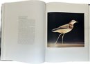 The Fifty Rarest Birds Of The World, Limited Edition, Signed By Artist, 12.5x16.5