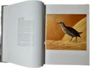 The Fifty Rarest Birds Of The World, Limited Edition, Signed By Artist, 12.5x16.5