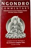 The Story Of Tibet, Radical Acceptance, Brilliant Moon, Rebel Buddha, Awaken Children, And More