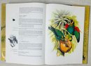 Parrots Of The World By Joseph M. Forshaw, Illustrated By William T. Cooper, 15.5x11in.
