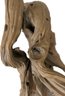 Branch Drift Wood Natural Aquascape - 50x27x8