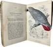 Naturalists Library, Ornithology, Thomas Bewick & John Selby, Edited By Sir William Jardine